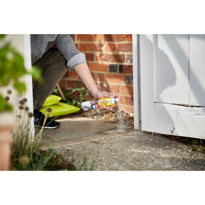 Zero In Ant & Crawling Insect Killer - 300ml Aerosol
