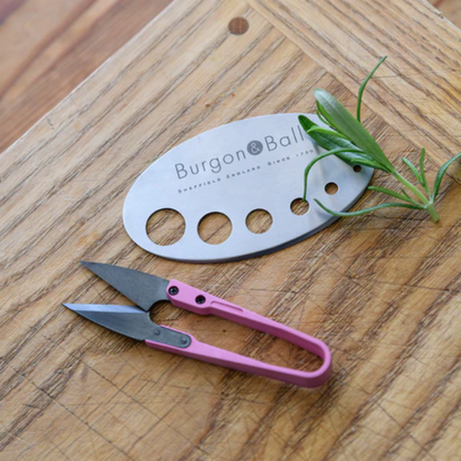Burgon & Ball Asteraceae Herb Set