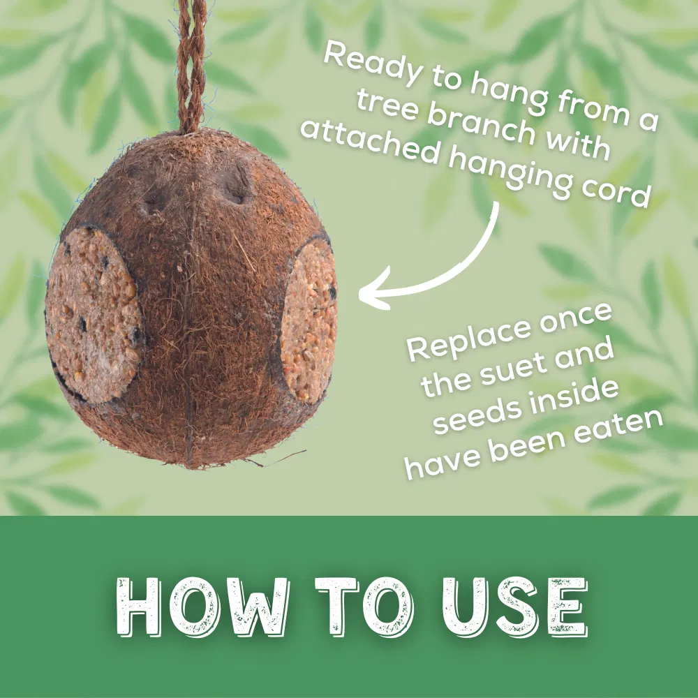 Copdock Mill Whole Coconut With 3 Holes 350g