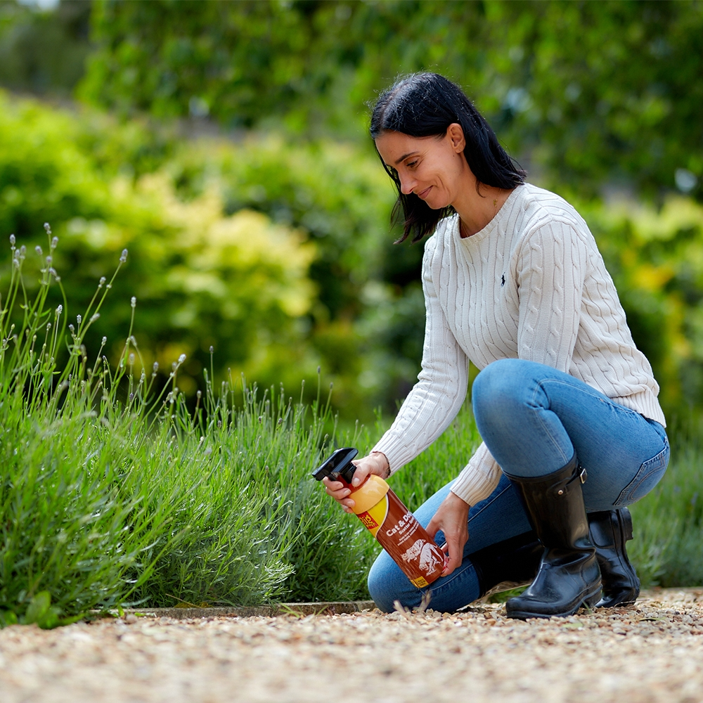 The Big Cheese Cat & Dog Scatter Spray 1L RTU