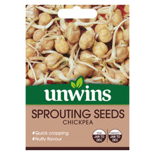 Sprouting Seeds Chickpea