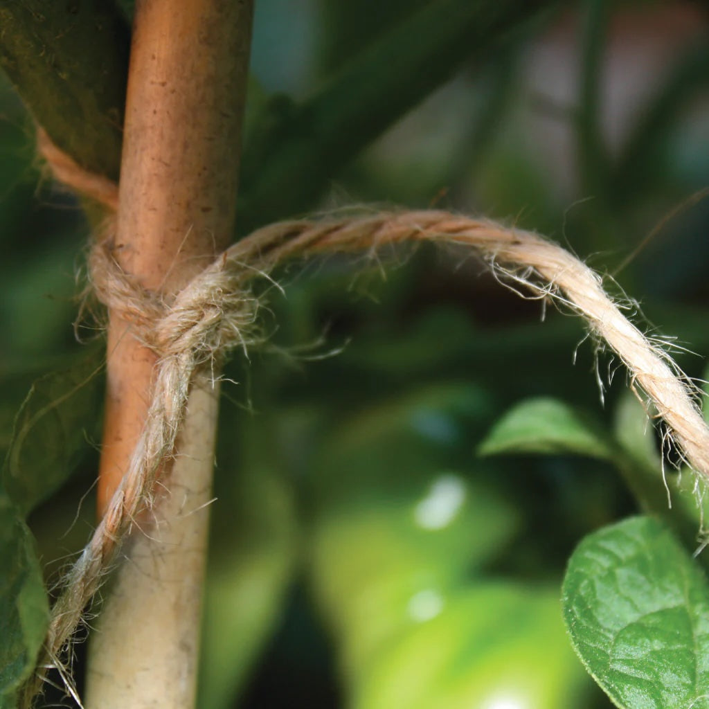 Growers Choice Biodegradable Natural Jute Twine 100g / 55m