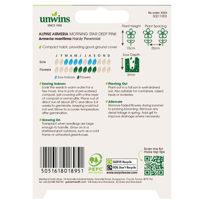 Alpine Armeria Morning Star Deep Pink