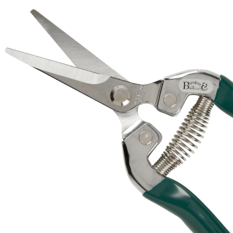 Burgon & Ball Fruit and Flower Snip