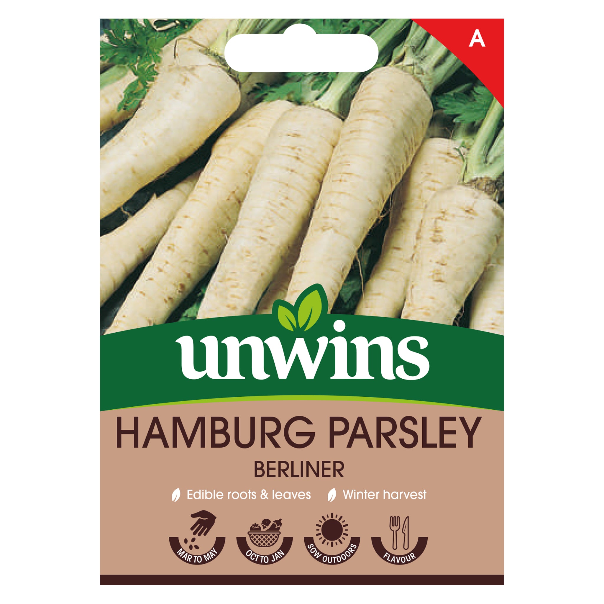 Hamburg Parsley Berliner