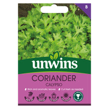 Herb Coriander Calypso