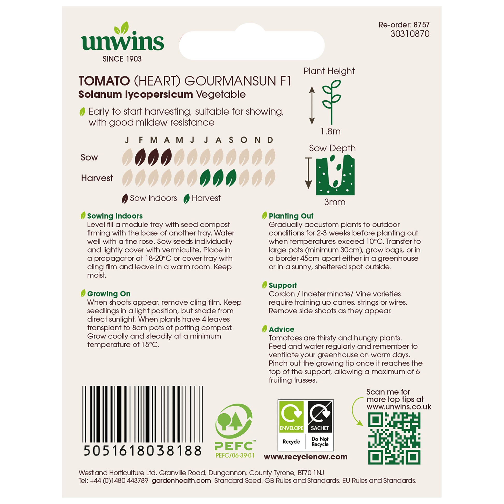 Tomato (Heart) Gourmansun F1