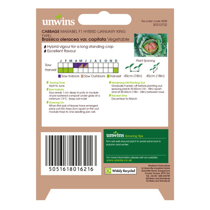 Cabbage (Round) Marabel F1