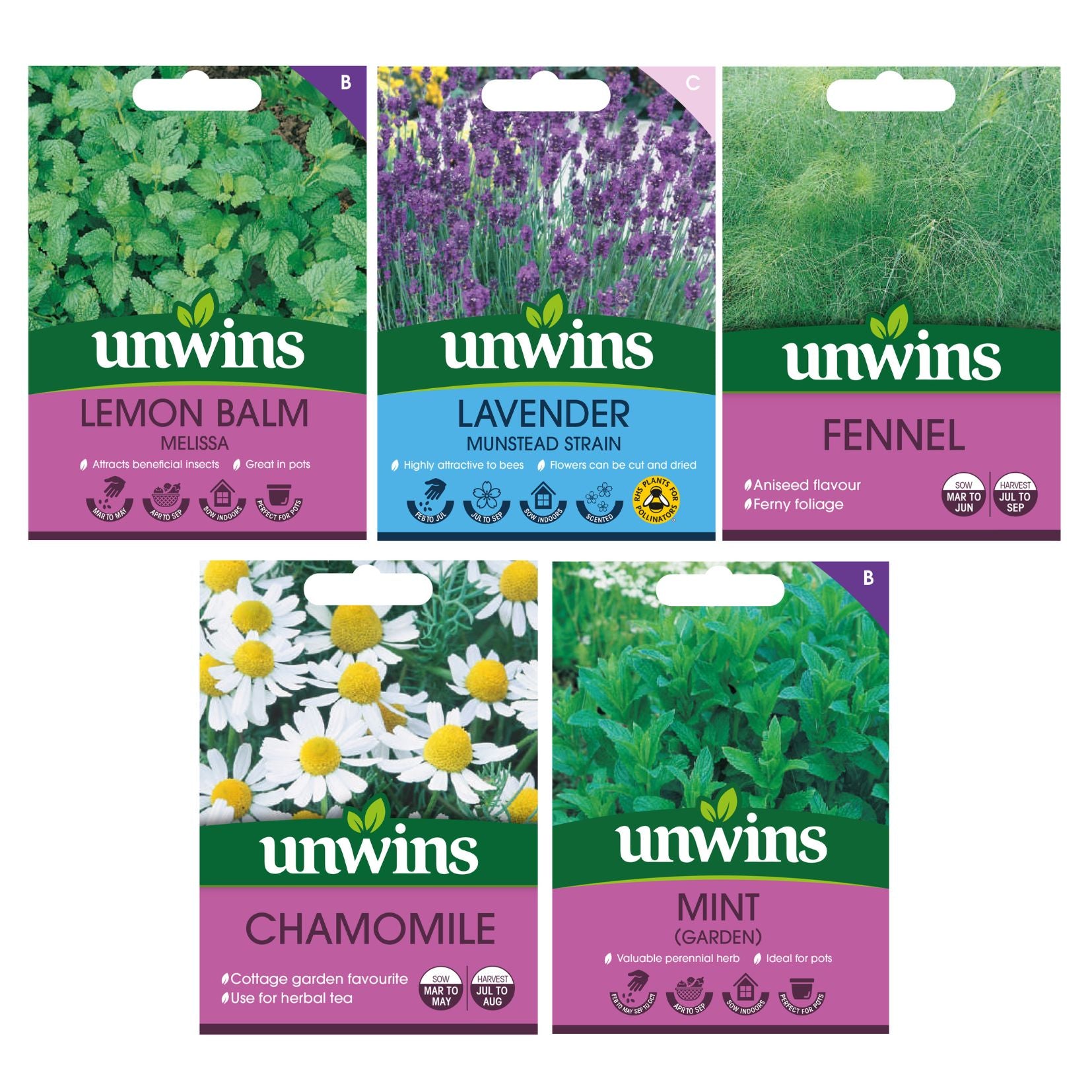 Unwins Herbal Tea Seed Bundle