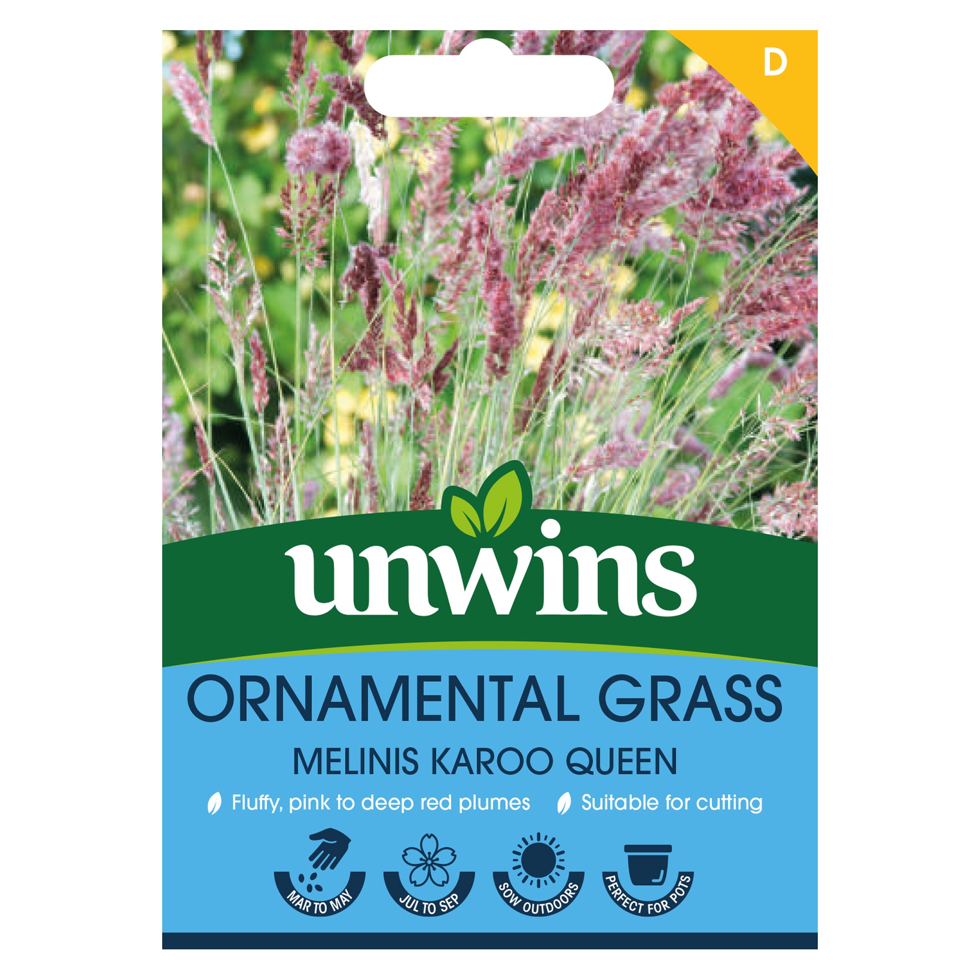 Ornamental Grass Melinis Karoo Queen