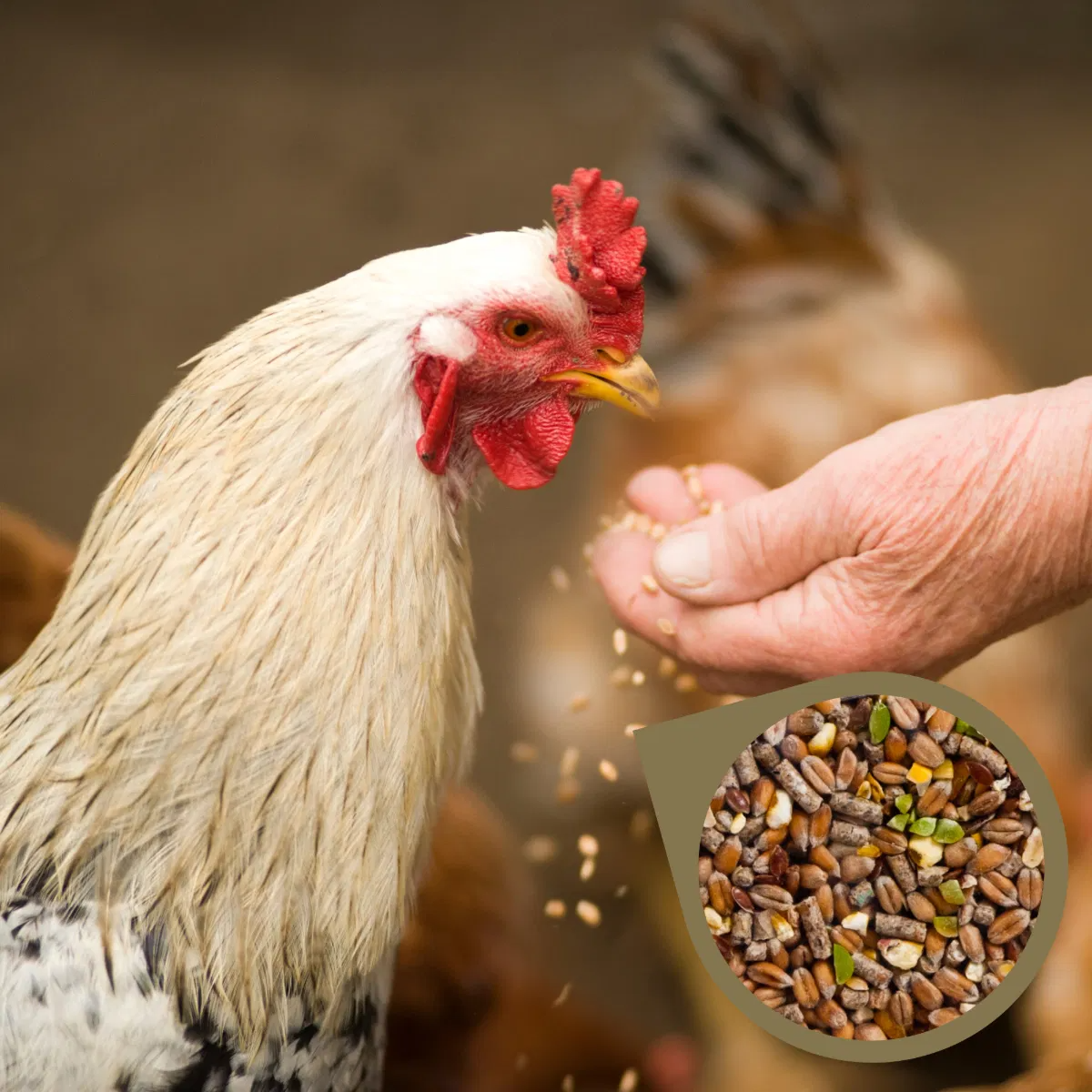 Copdock Mill Poultry Gold 20kg