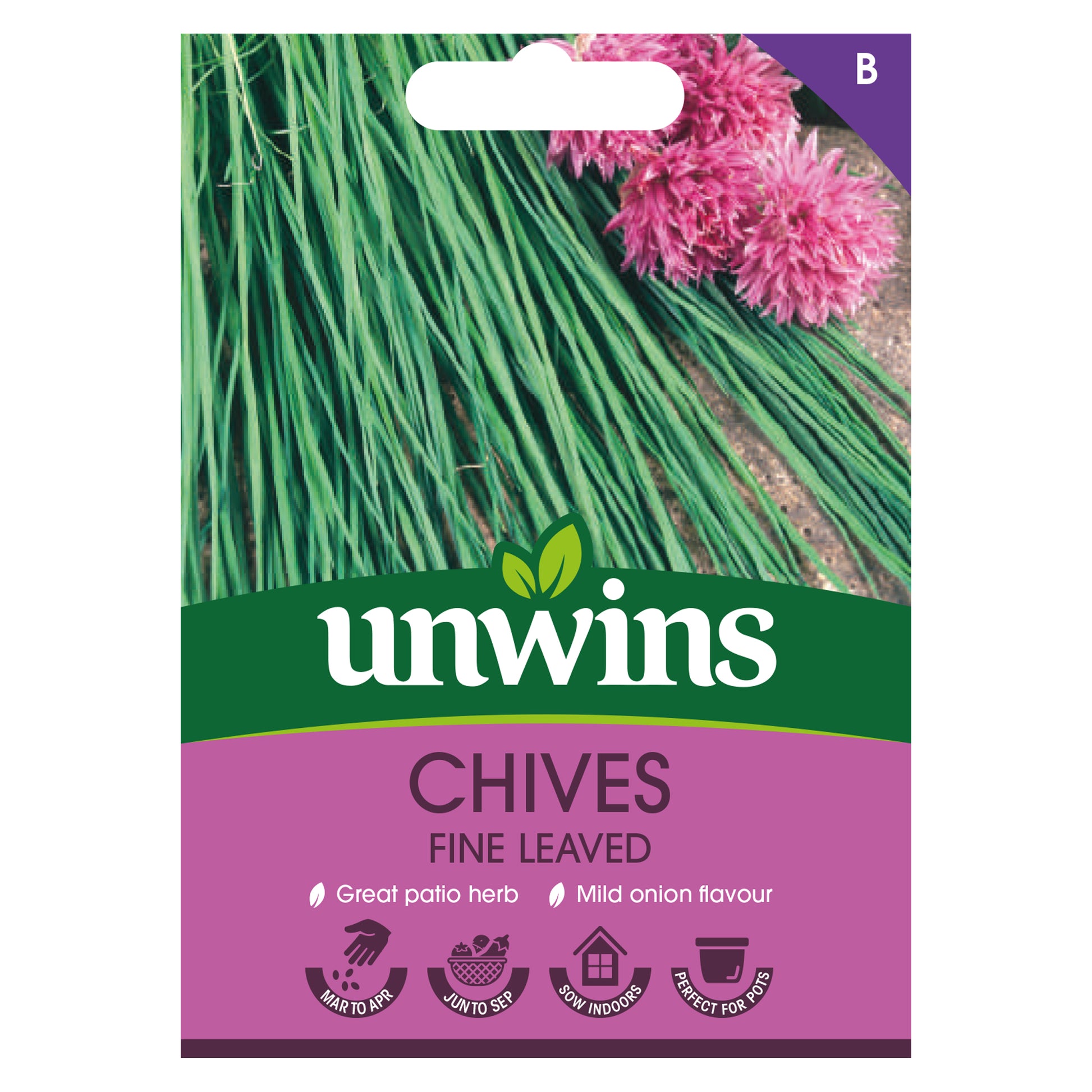 Herb Chives Fine Leaved