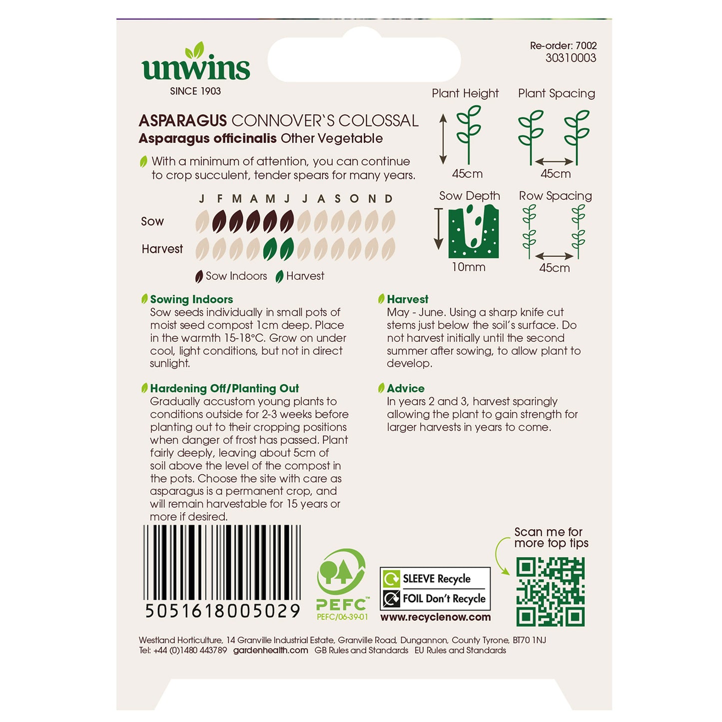 Asparagus Connover's Colossal