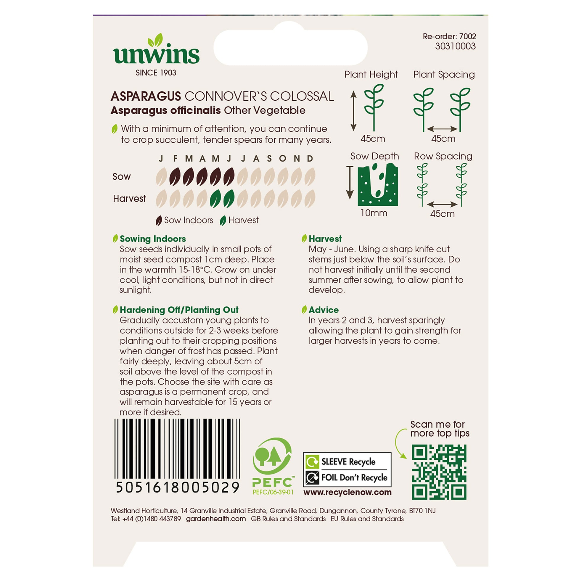 Asparagus Connover's Colossal