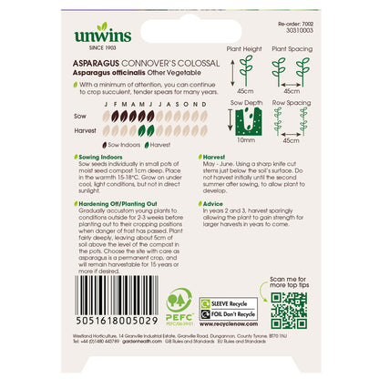 Asparagus Connover's Colossal