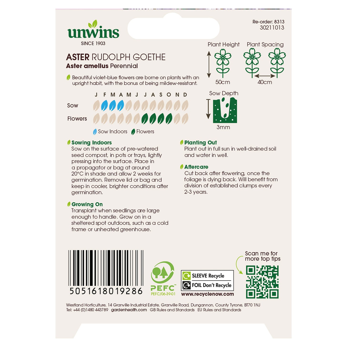 Aster Rudolph Goethe