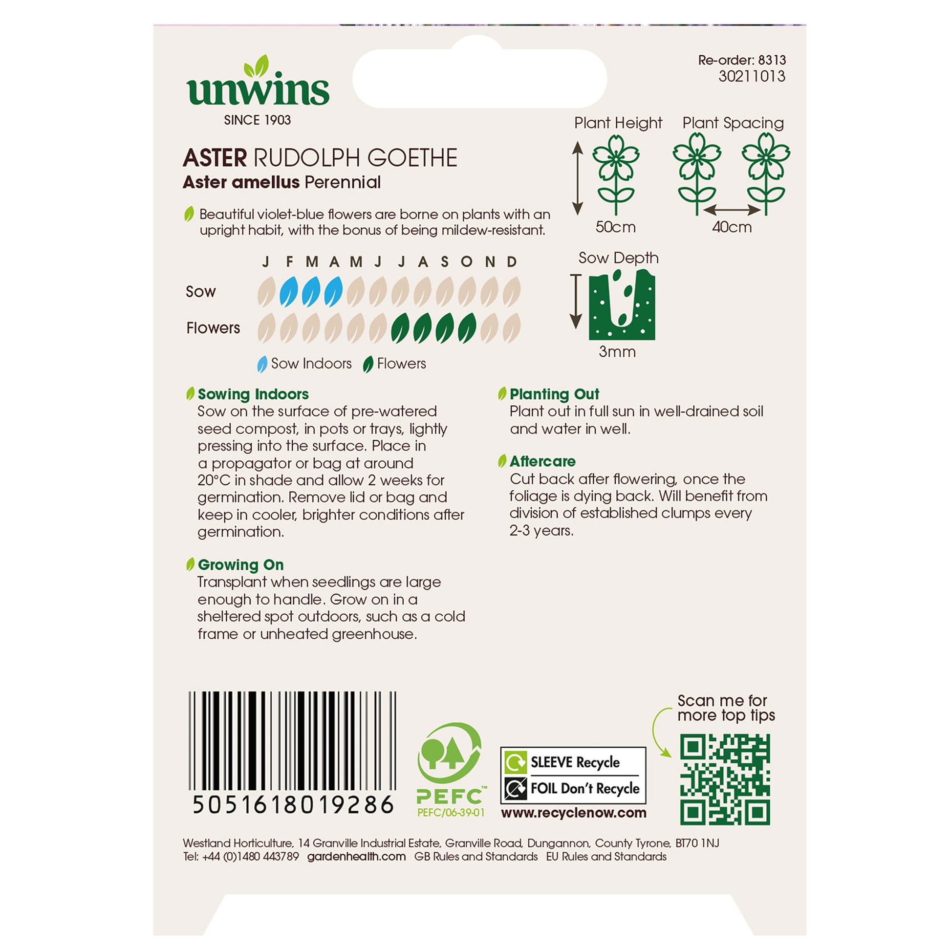 Aster Rudolph Goethe