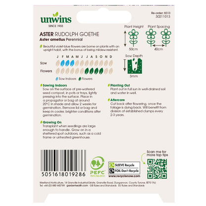Aster Rudolph Goethe
