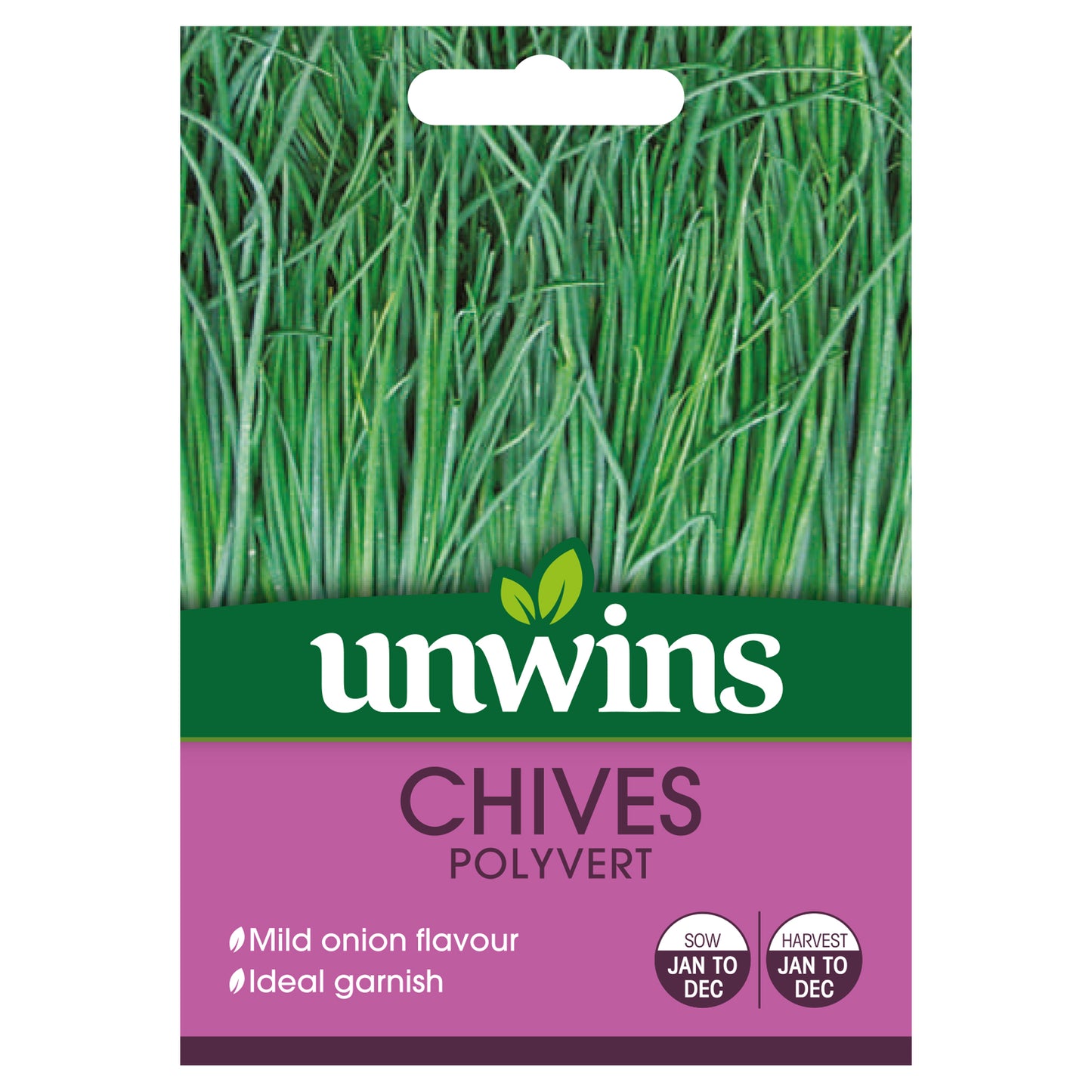 Herb Chives Polyvert