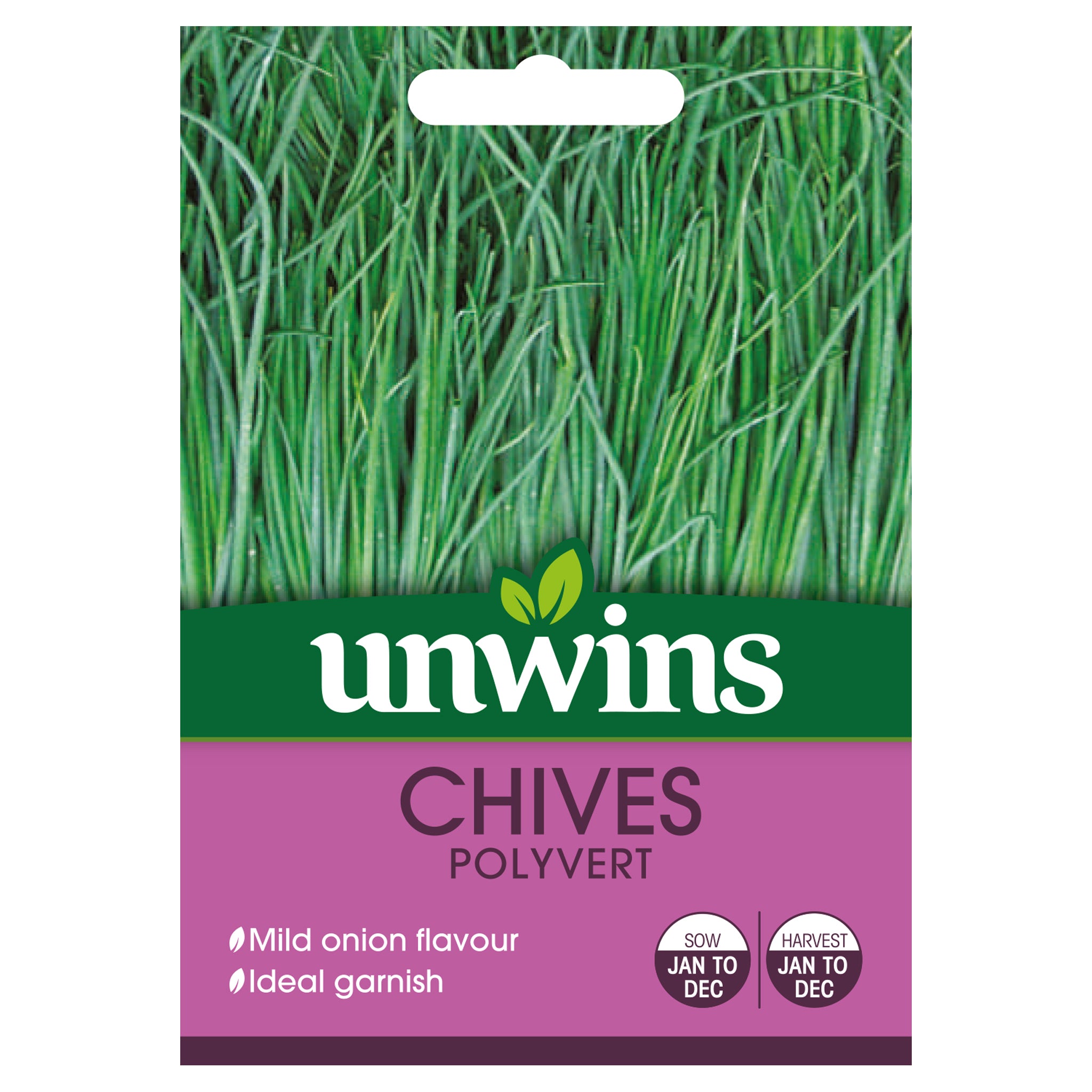 Herb Chives Polyvert