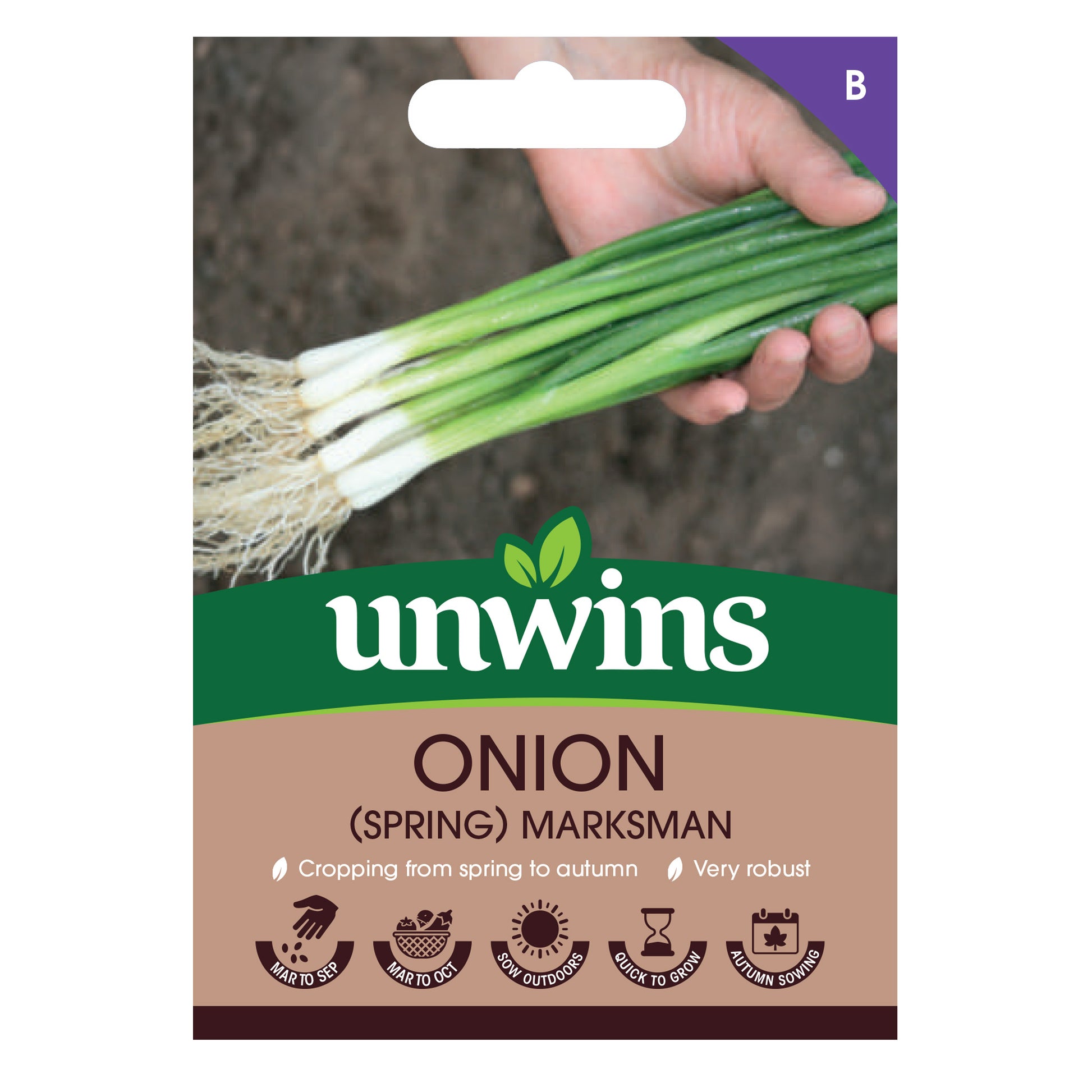 Onion (Spring) Marksman