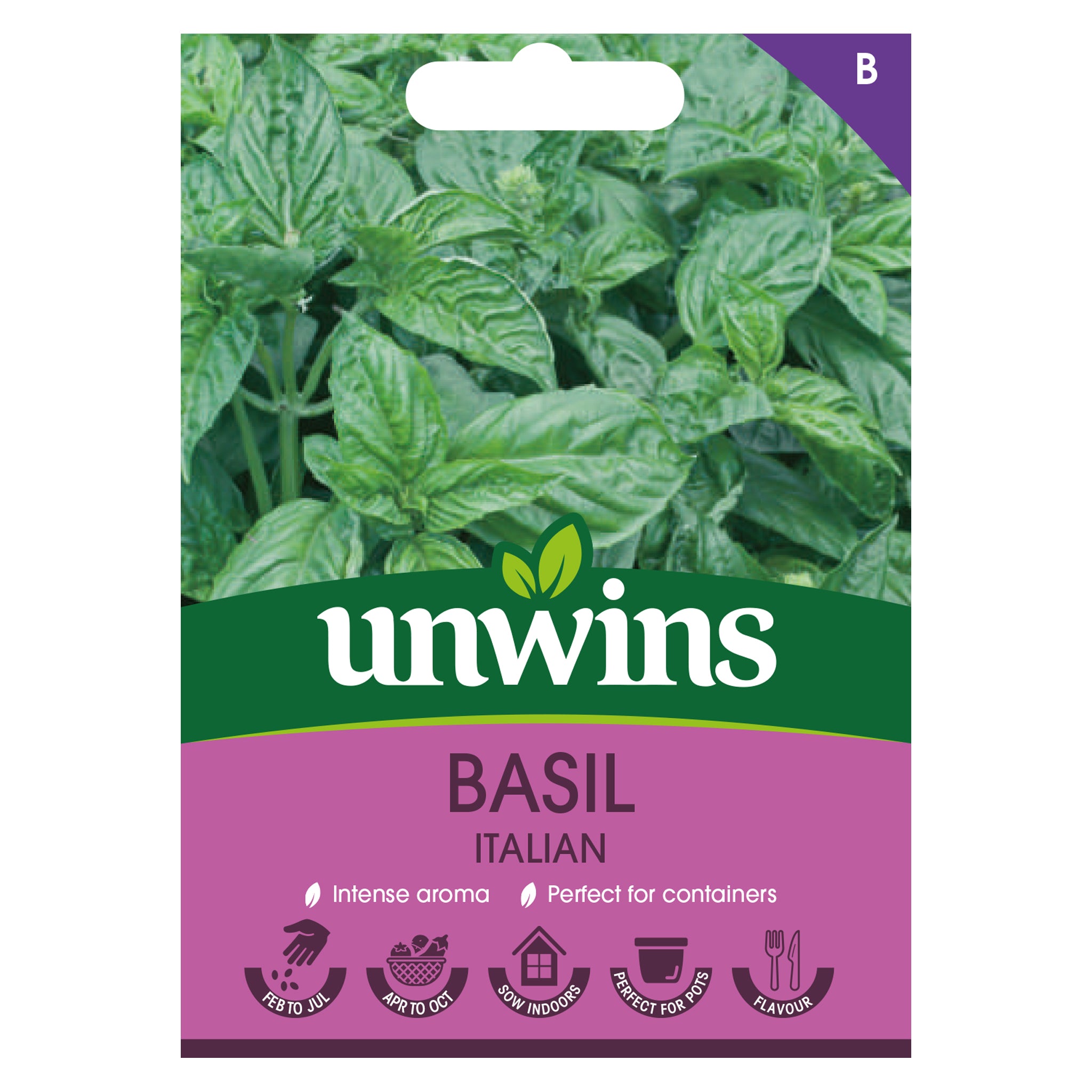 Herb Basil Italian