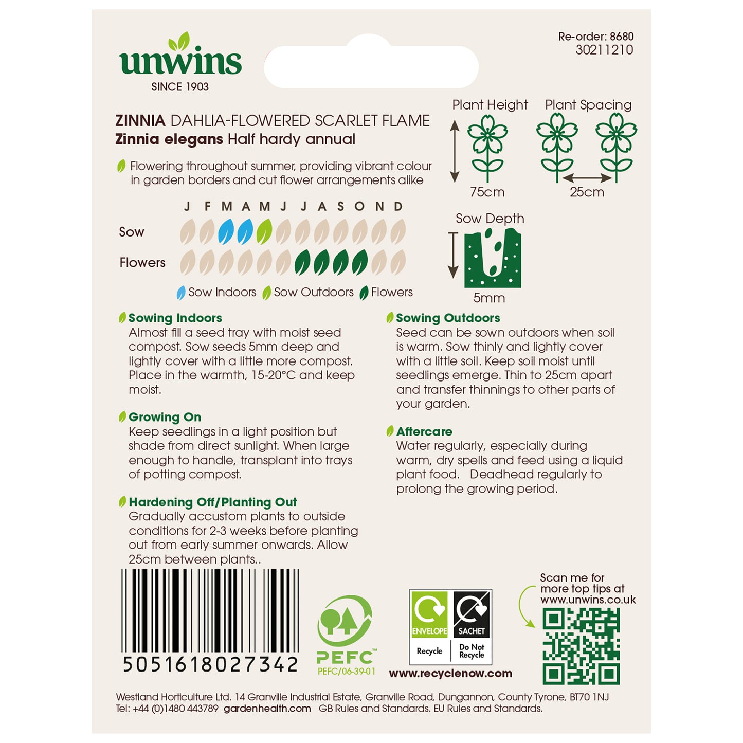 Zinnia Dahlia-flowered Scarlet Flame