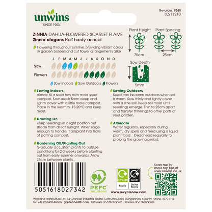 Zinnia Dahlia-flowered Scarlet Flame