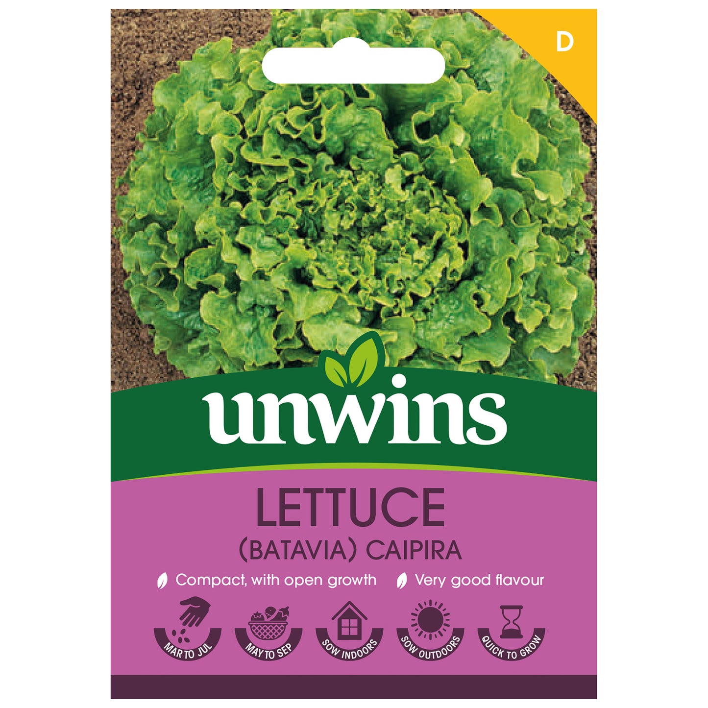 Lettuce (Batavia) Caipira