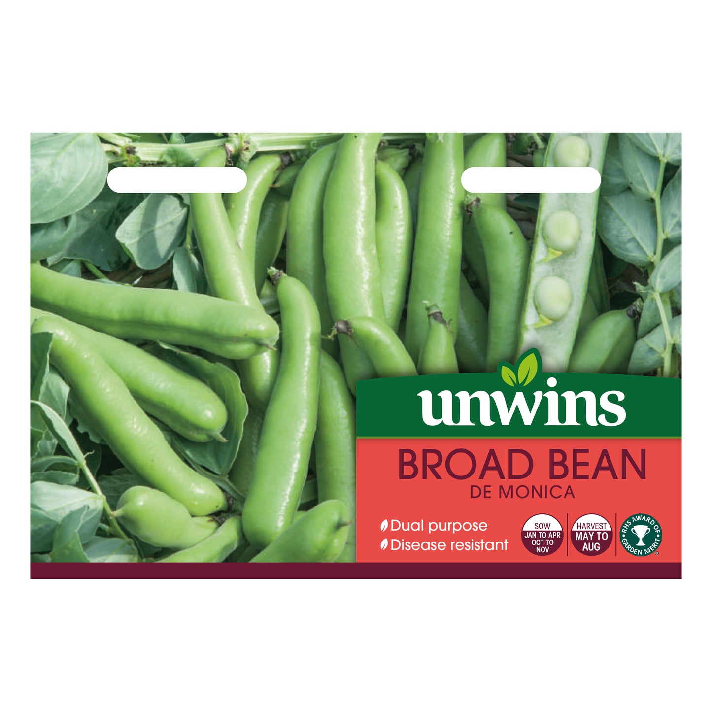 Broad Bean De Monica