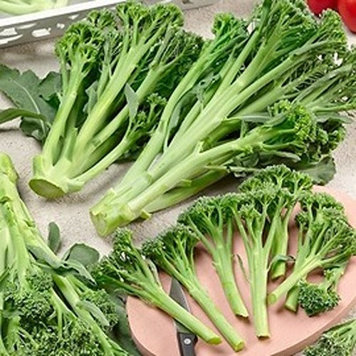 Broccoli Delistem Green