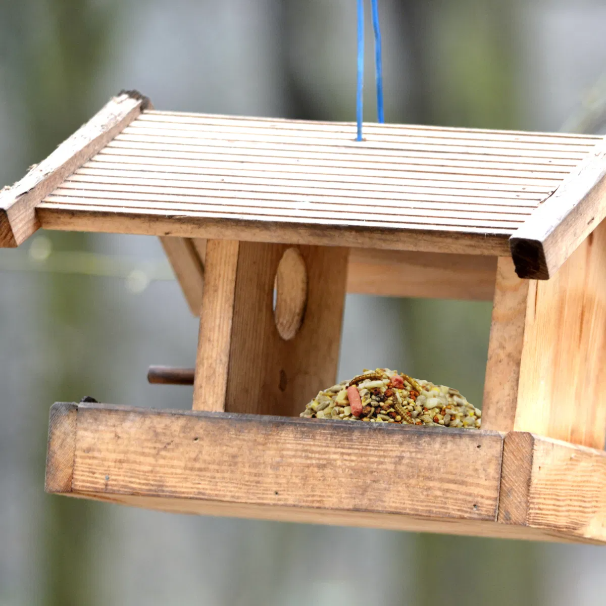 Copdock Mill Wild Bird Garden Feast 2.5kg