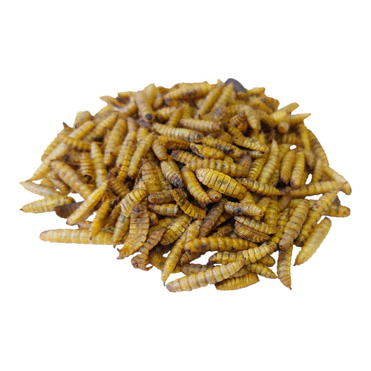 Copdock Mill Calci Boost Grubs Tubs 1 Litre