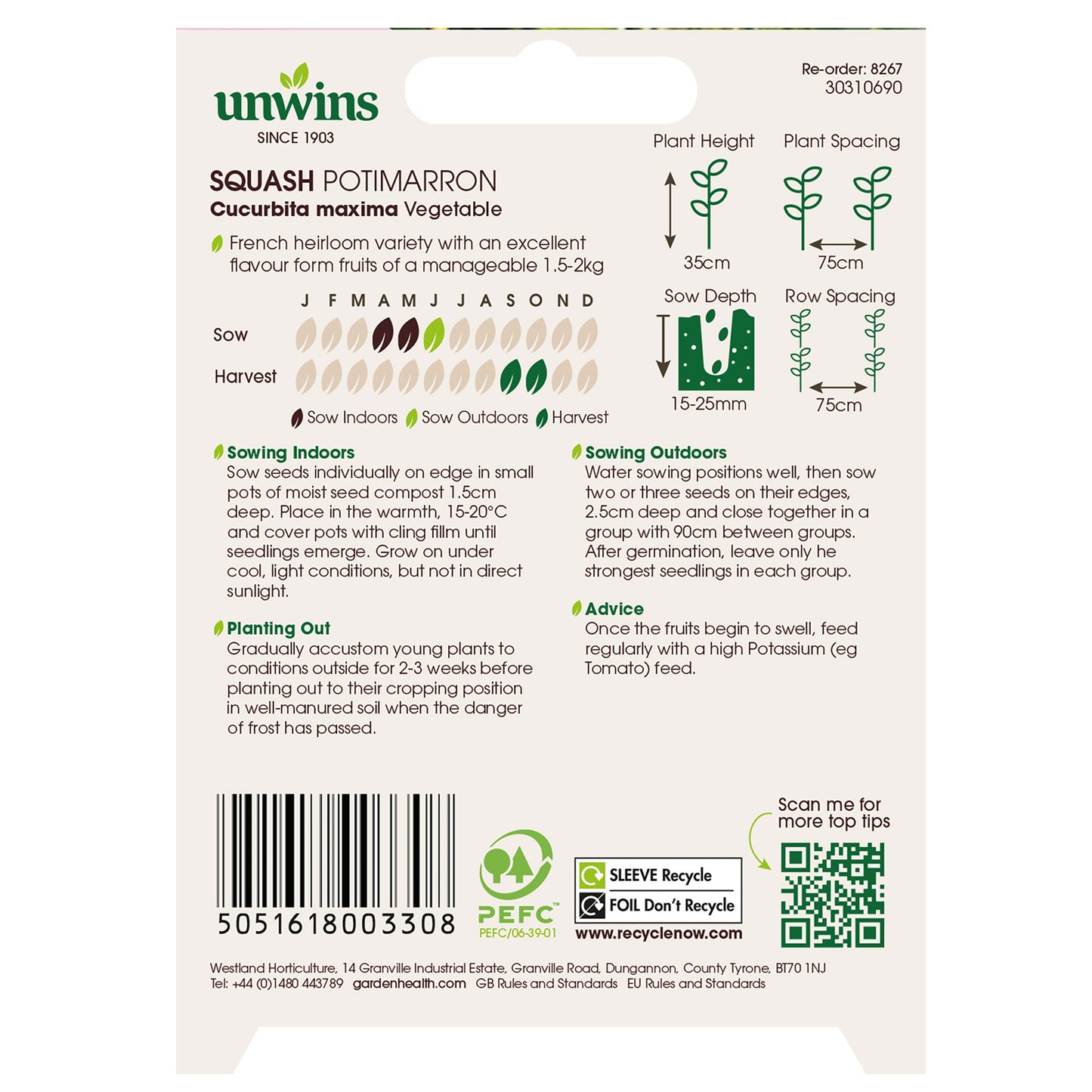 Squash (Winter) Potimarron