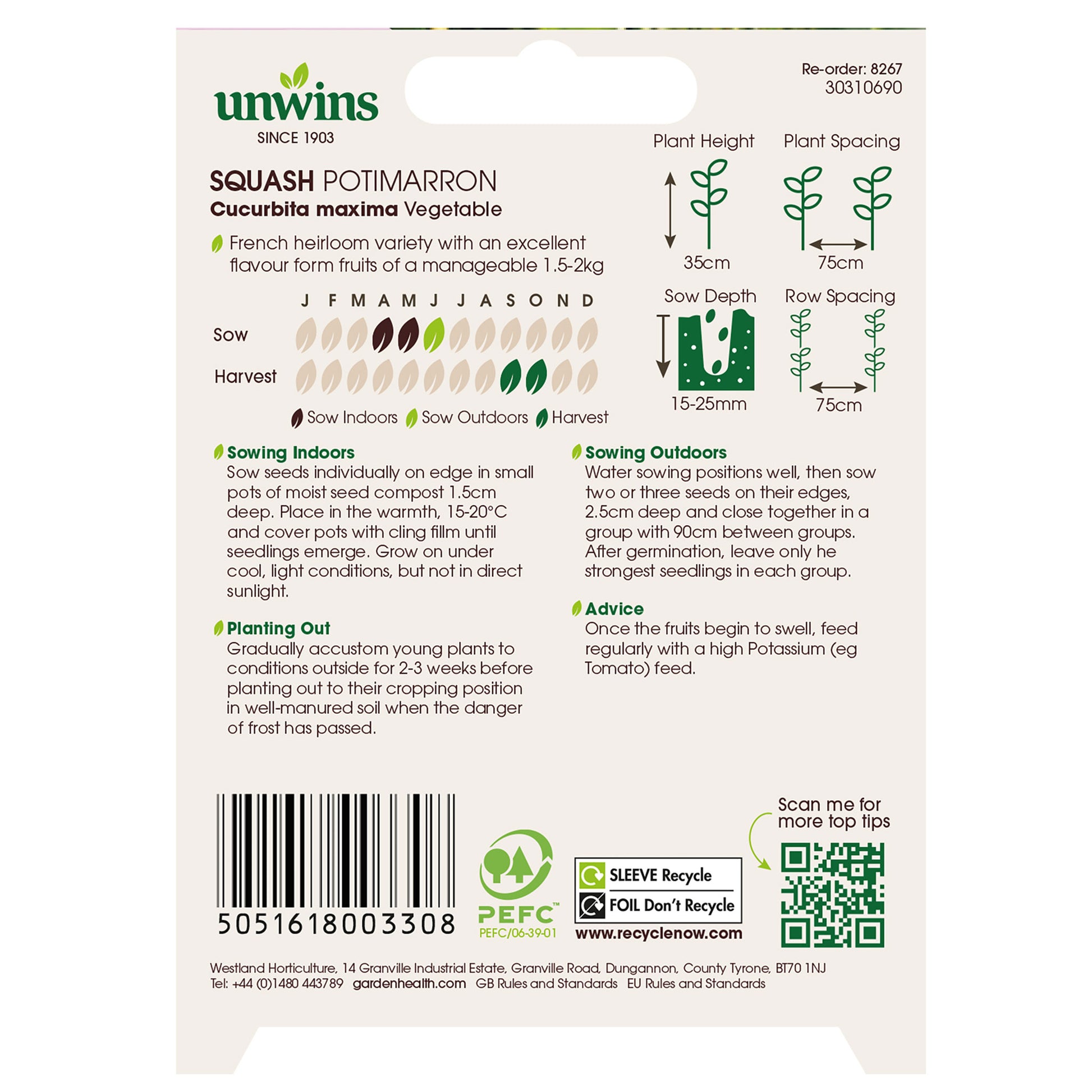 Squash (Winter) Potimarron