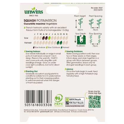 Squash (Winter) Potimarron