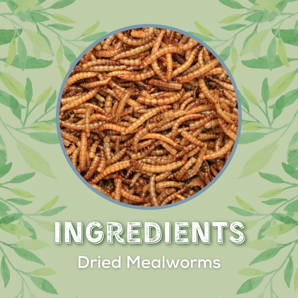 Copdock Mill Dried Mealworms Tubs 240g
