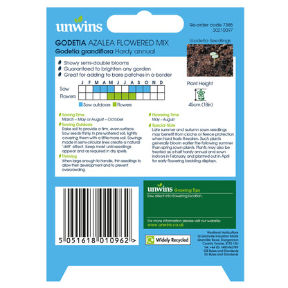 Godetia Azalea Flowered Mix