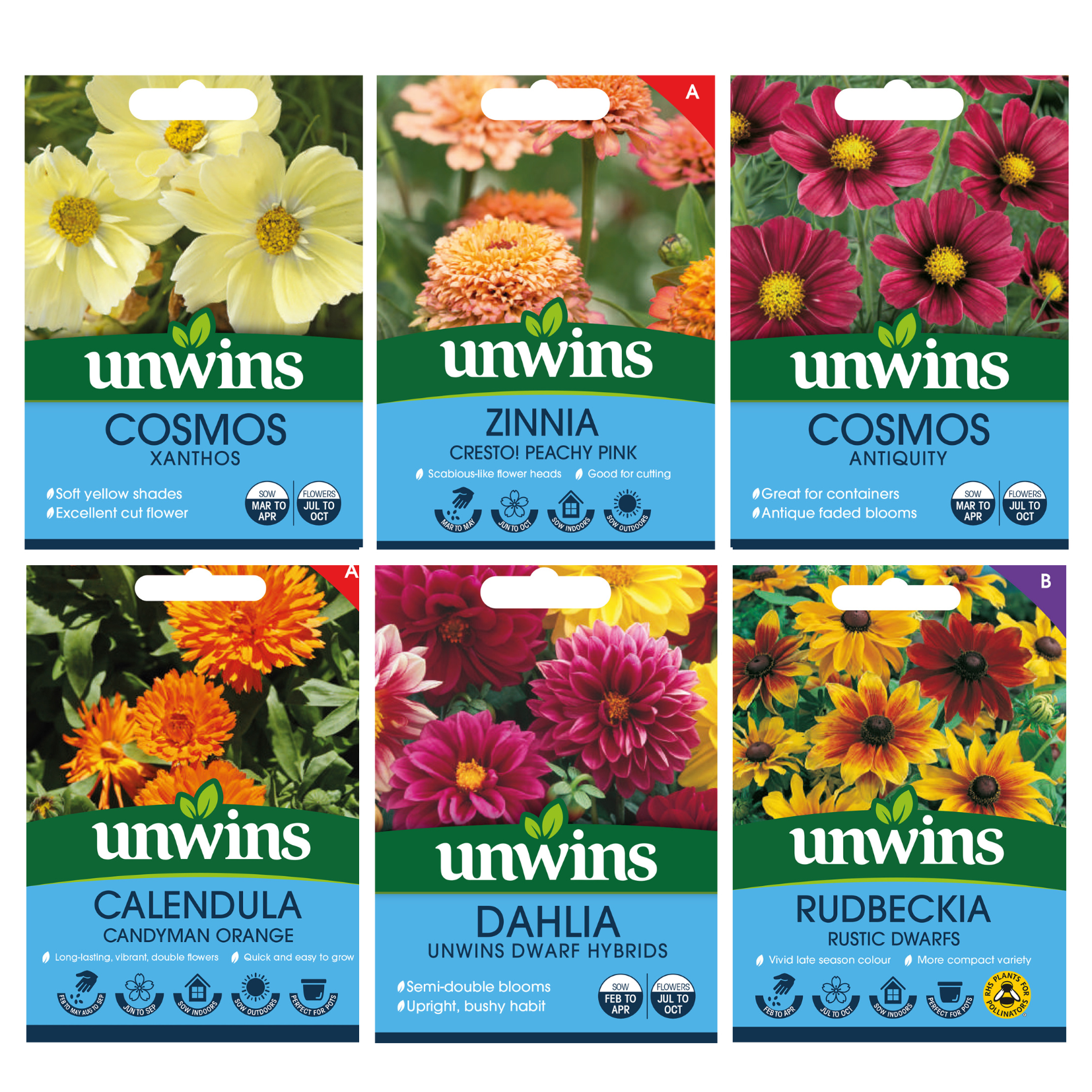 Unwins Sunset Tone Seed Bundle