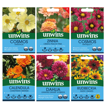 Unwins Sunset Tone Seed Bundle