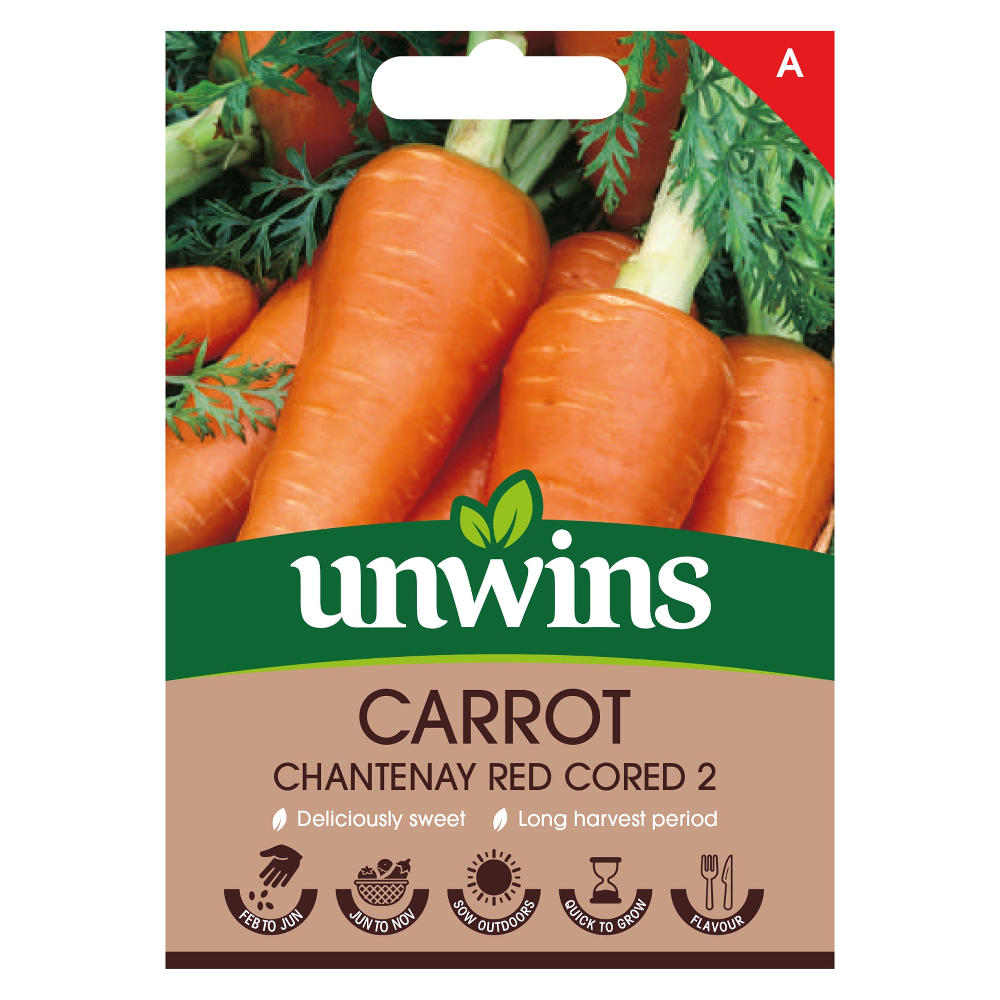 Carrot Chantenay Red Cored 2