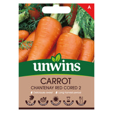 Carrot Chantenay Red Cored 2