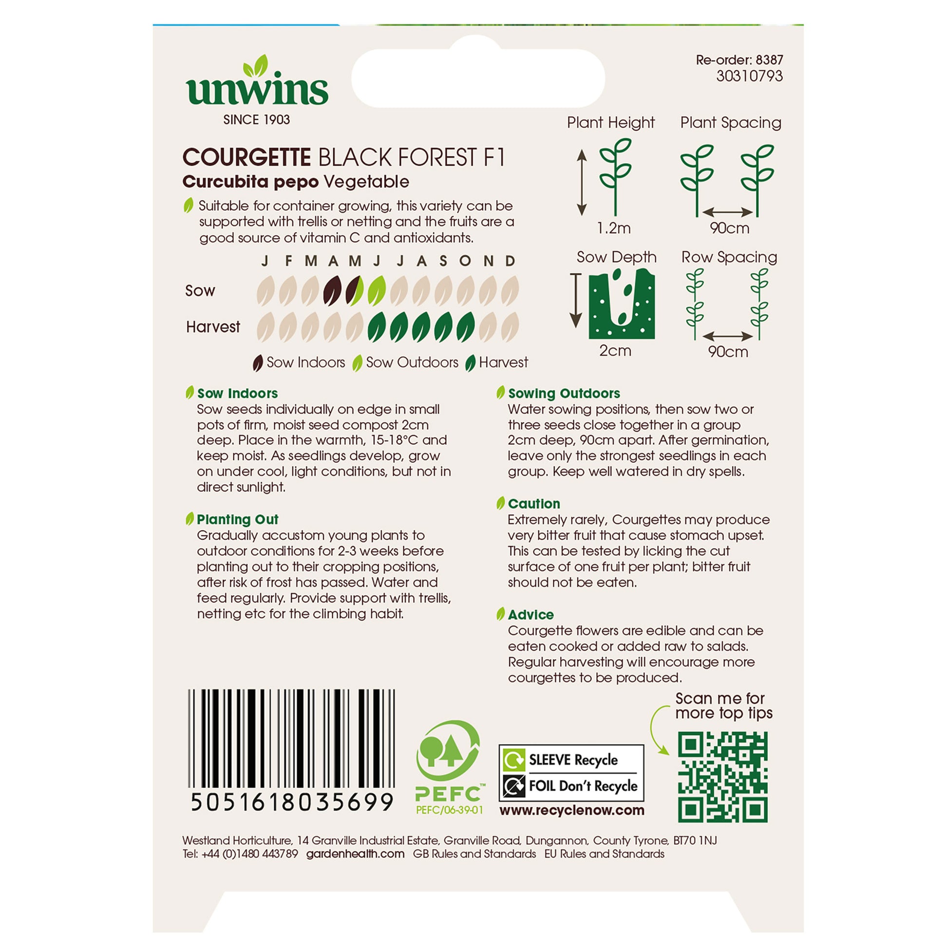 Courgette Black Forest F1