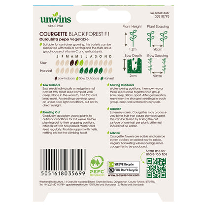 Courgette Black Forest F1