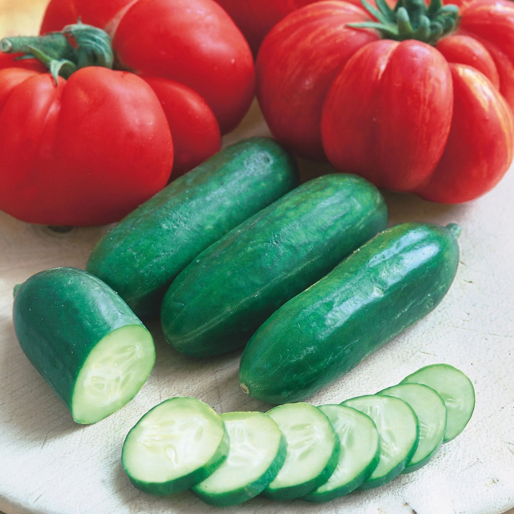 Cucumber Mini Muncher F1