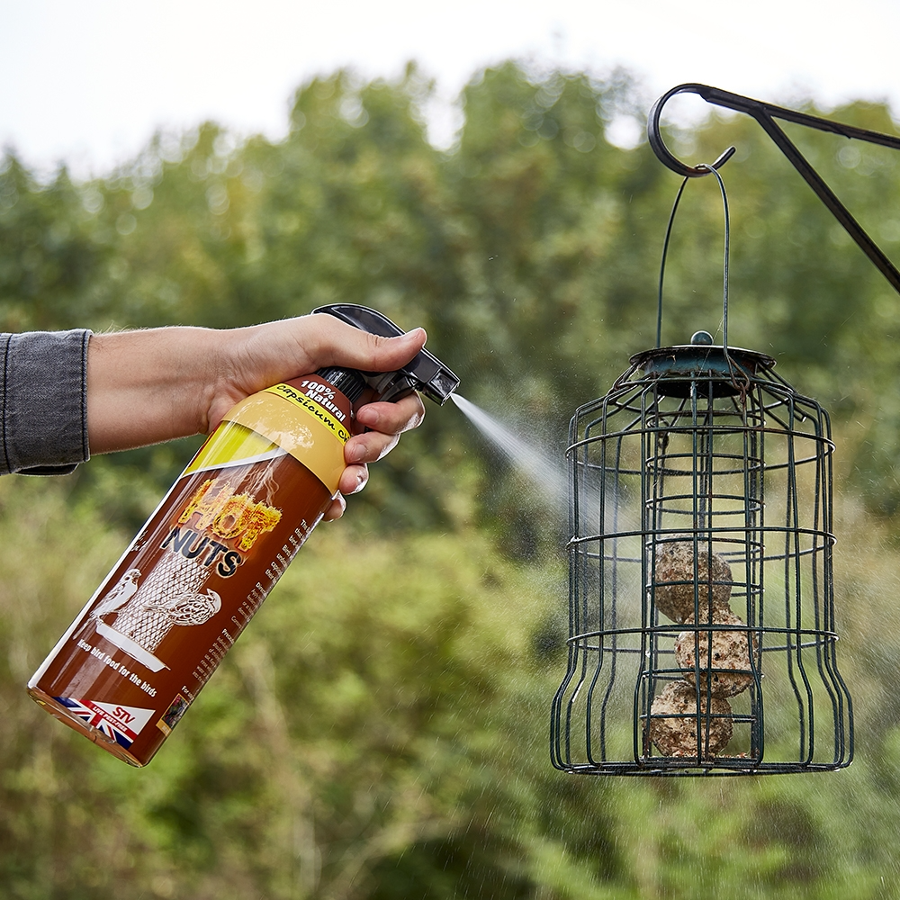 The Big Cheese Hot Nuts 1L RTU