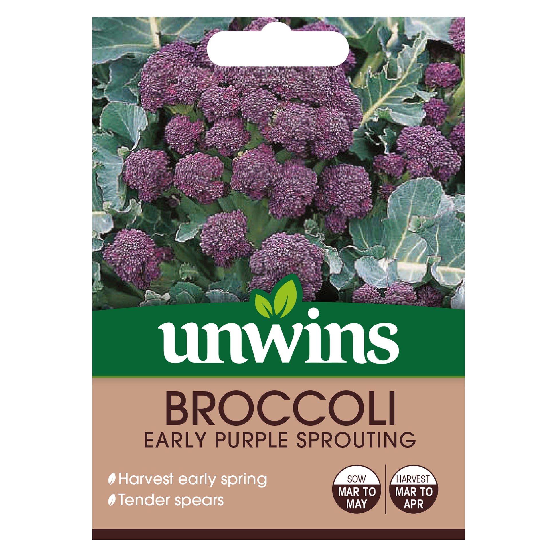 Broccoli Early Purple Sprouting