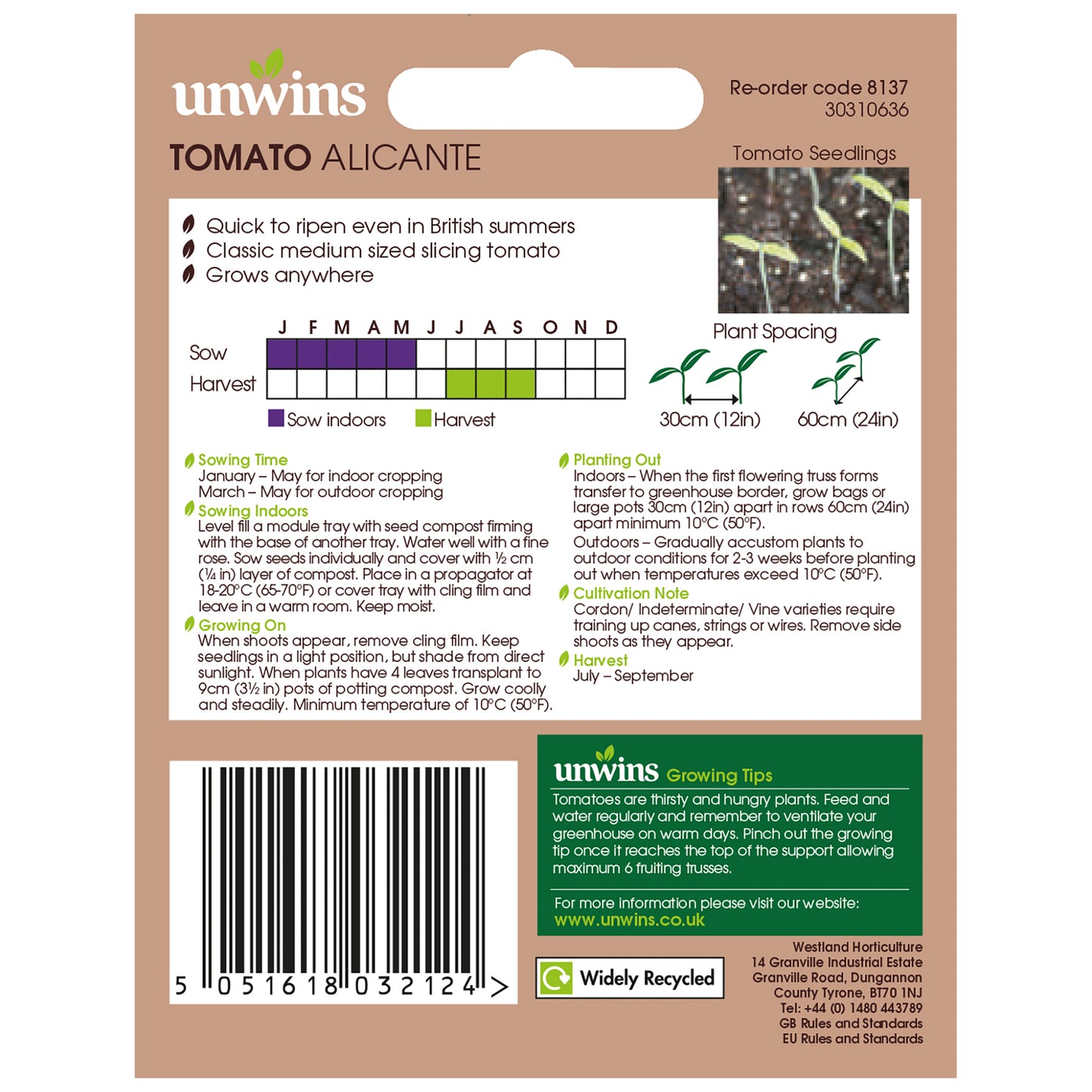 Tomato (Salad) Alicante