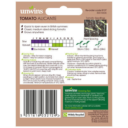 Tomato (Salad) Alicante