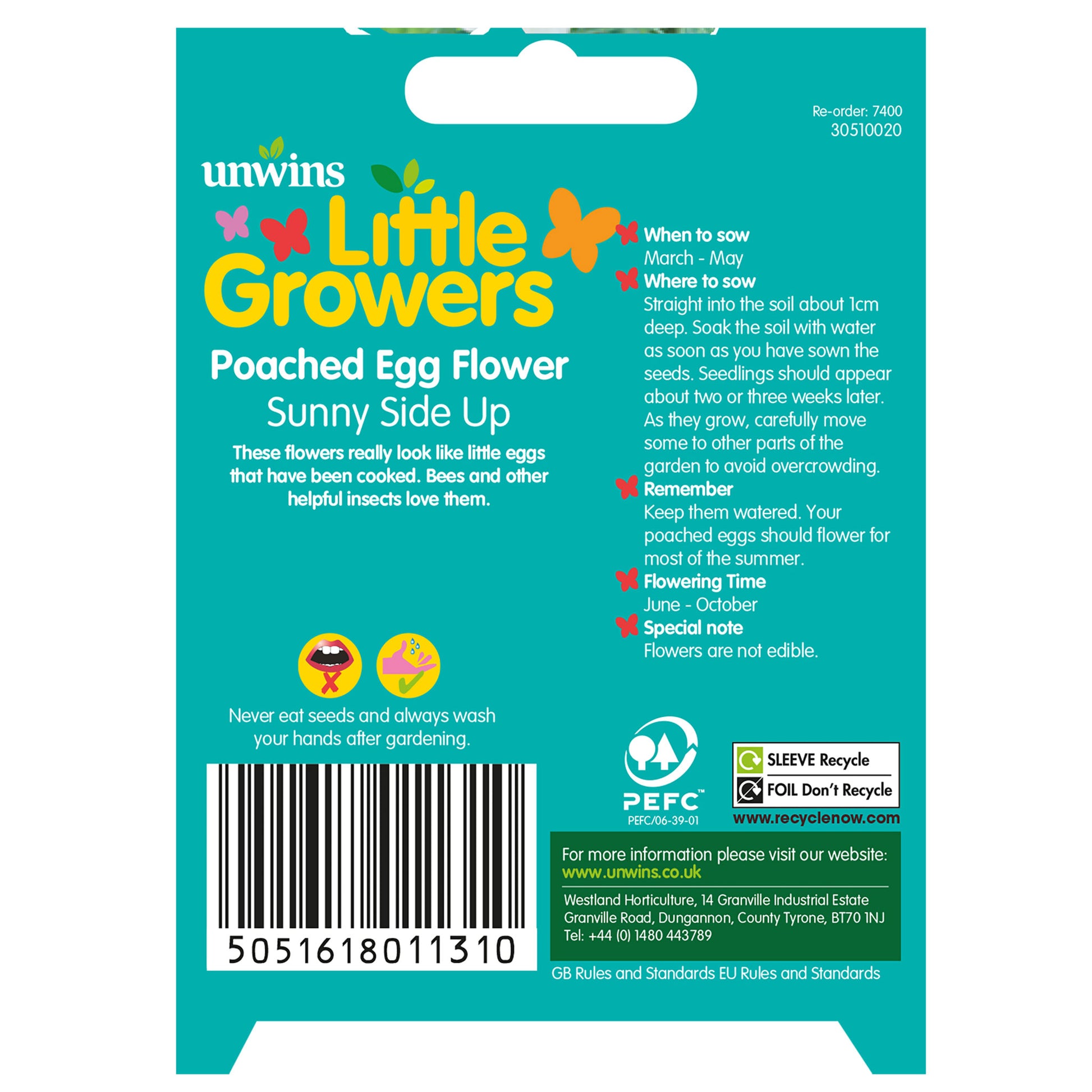 Little Growers Poached Egg Flower Sunnyside